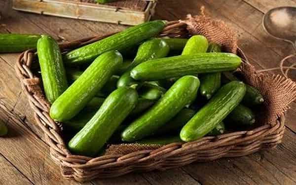 تصویر 5 از خرید خیار ریز قلمی + قیمت فروش استثنایی
